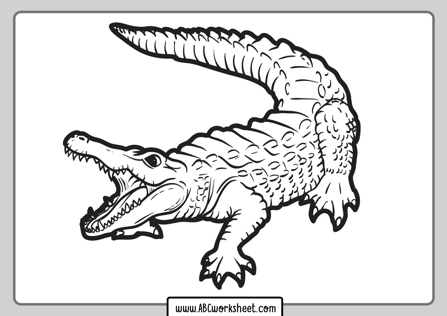 Crocodile Coloring Pages