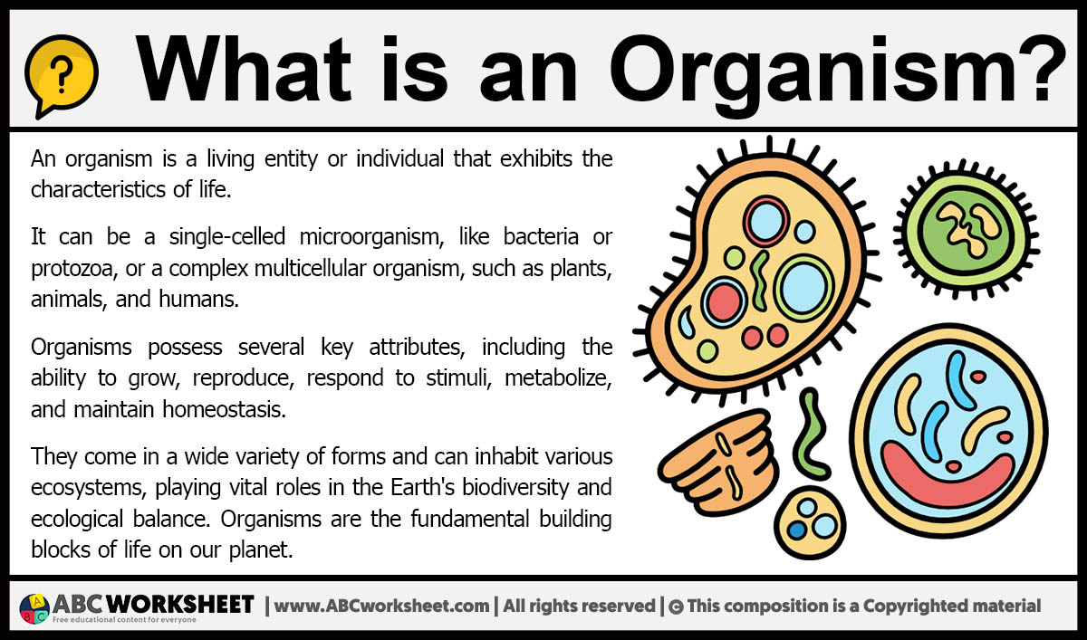 What is an organism definition of organism